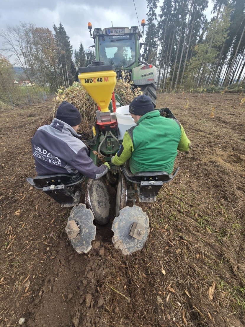 Bio-Wasserspeicher fr Forstpflanzen